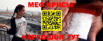 стаф Можга