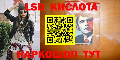 стаф Можга