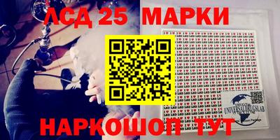 стаф Можга