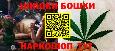 стаф Можга
