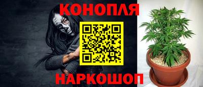 стаф Можга