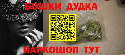 стаф Можга