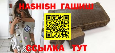 стаф Можга