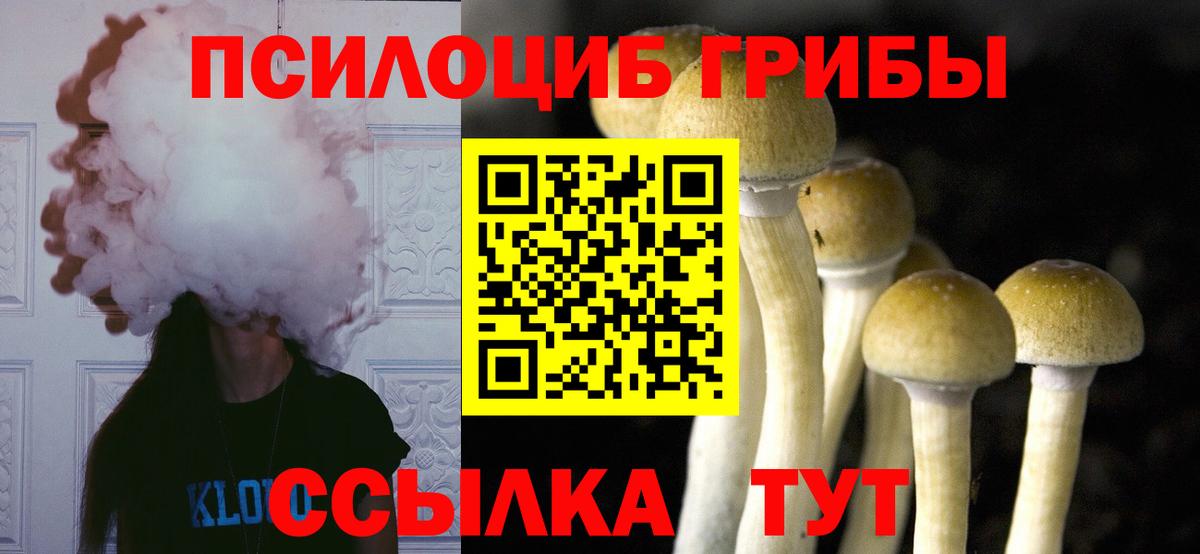 Старая Купавна  Галлюциногенные грибы Magic Shrooms  Галлюциногенные грибы MAGIC MUSHROOMS  Вход с VPN 